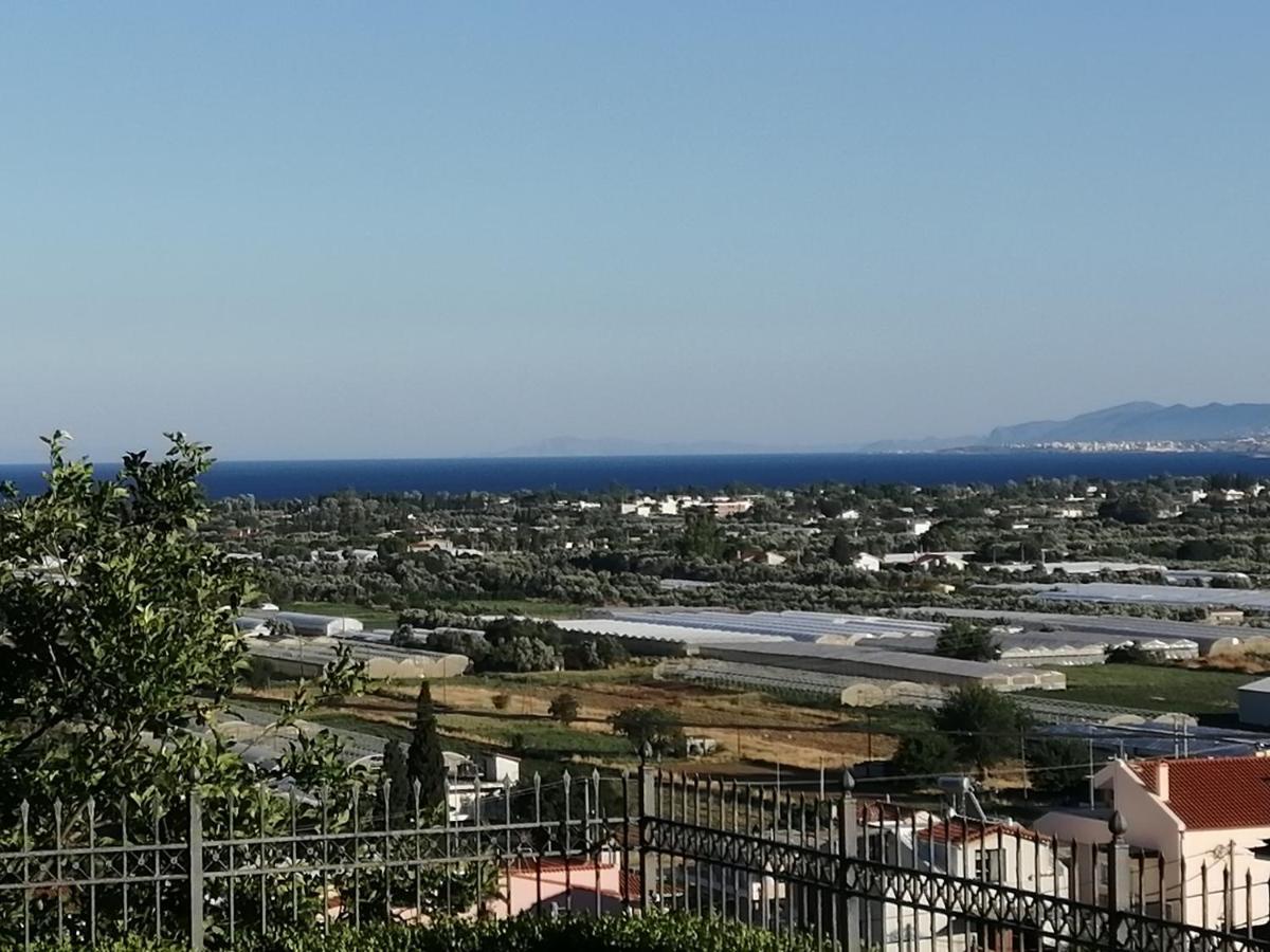 Lazy Farm II Βίλα Μαραθώνας Εξωτερικό φωτογραφία